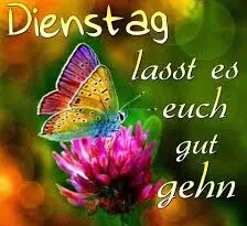 Condolence image of Annemarie und Elke mit Snoopy im Herzen gest.04.01.2022