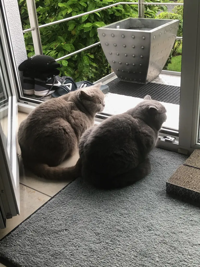 Condolence image of An Timmy und Tanja