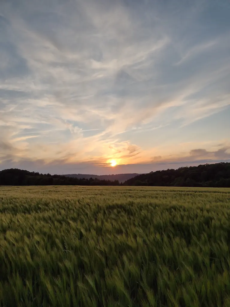 Condolence image of Corinna mit Emma, Pummelchen und anderen Sternlein im ❤️