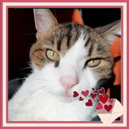 Condolence image of Andrea mit Minki im ♥️