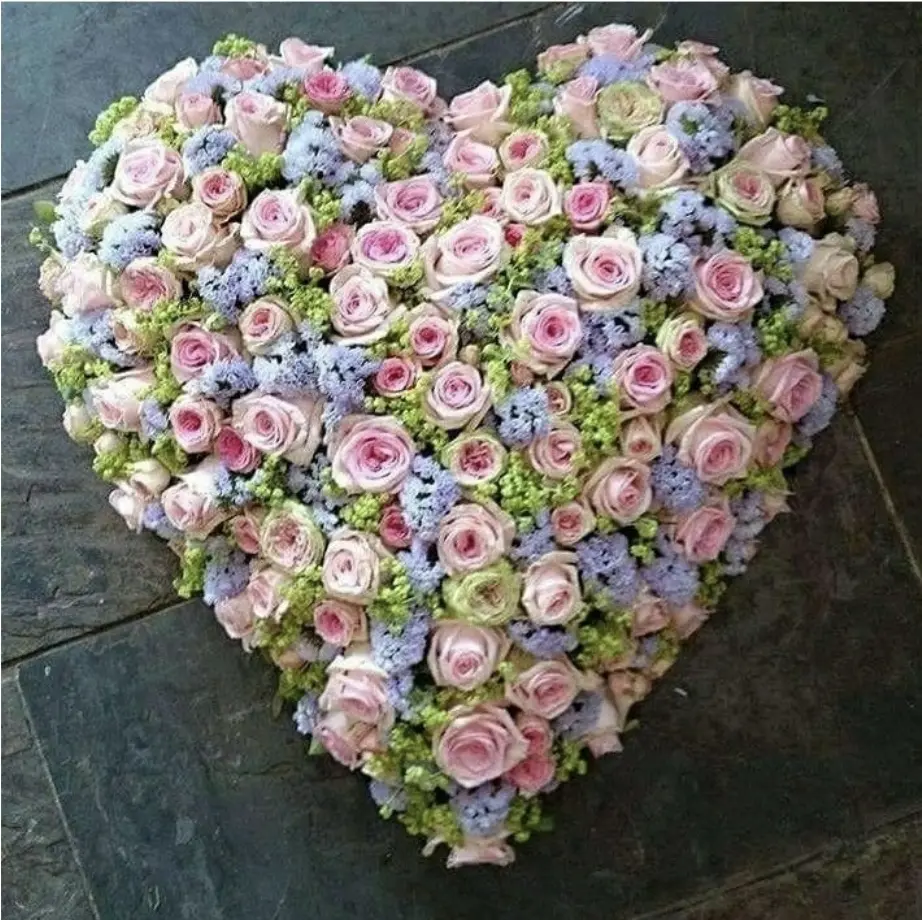 Condolence image of Daniela  an Timmy und Tanja ❤️