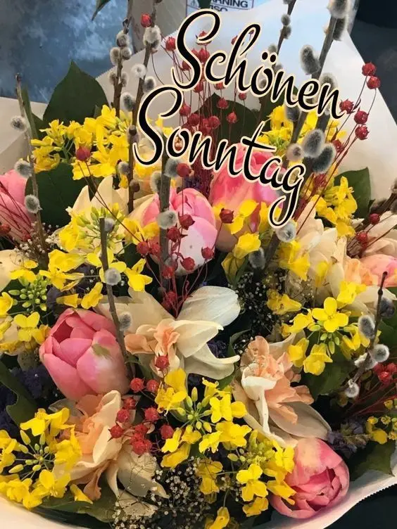 Condolence image of Snoopy ❤Pünktchen 