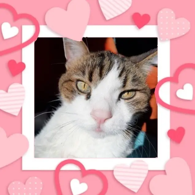 Condolence image of Für Timmy ♥️♥️♥️