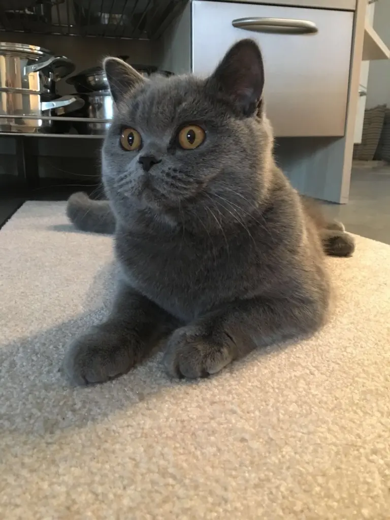 Condolence image of An Timmy