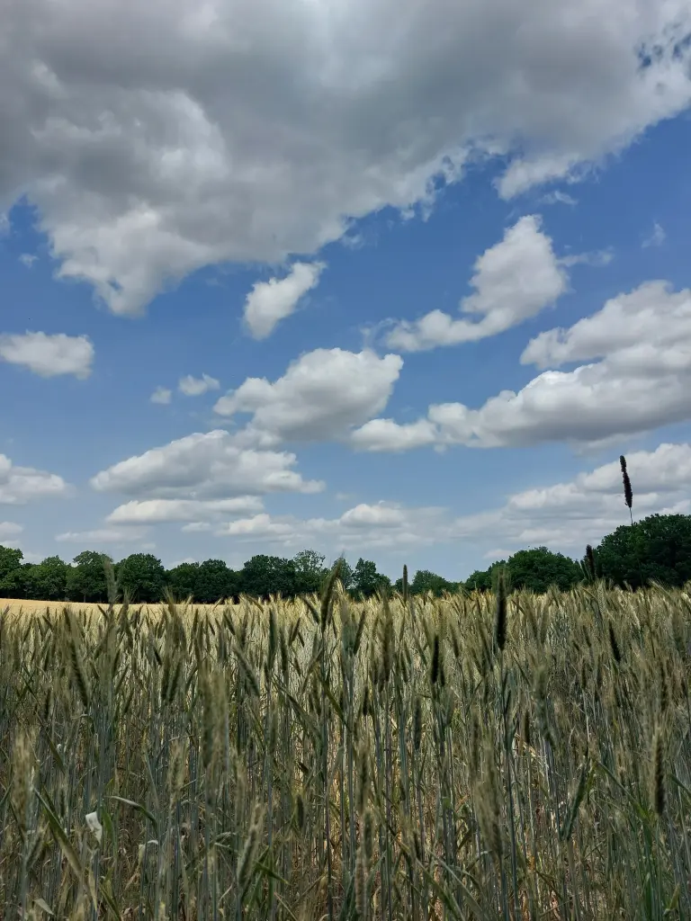 Condolence image of Daniela  mit Pauline im ♥️