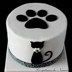 Condolence image of Silke mit Seelenhund Cassy  und Katzendame Joyce tief im Herzen ❤