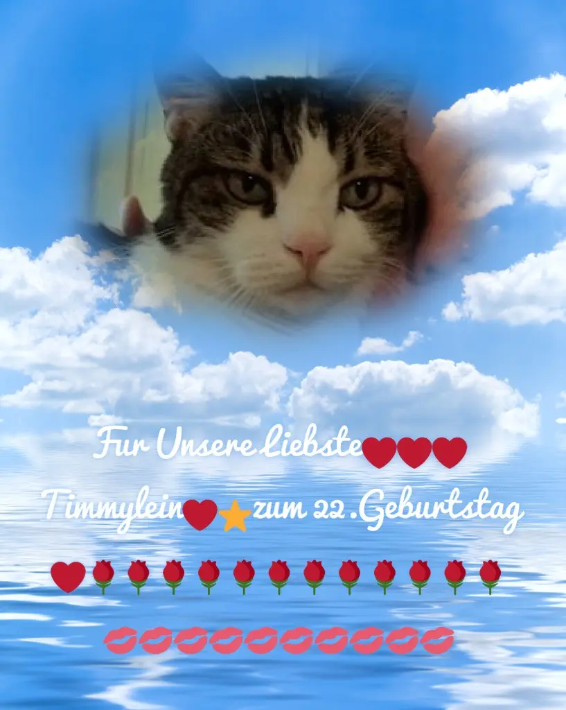 Condolence image of ❤️❤️❤️❤️❤️❤️❤️❤️❤️❤️❤️❤️