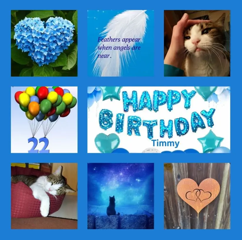 Condolence image of 22 Geburtstagssträuße für Timmy