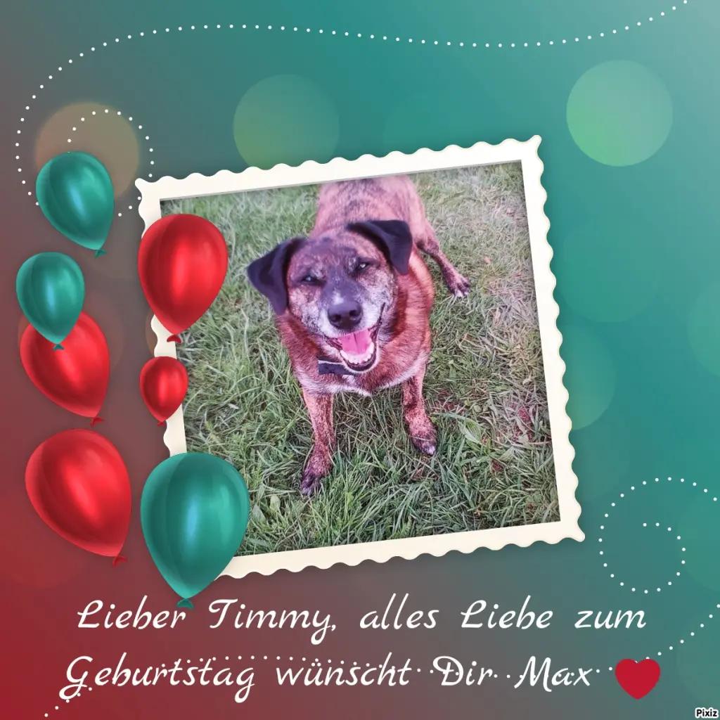 Condolence image of Gabi mit Max ❣️