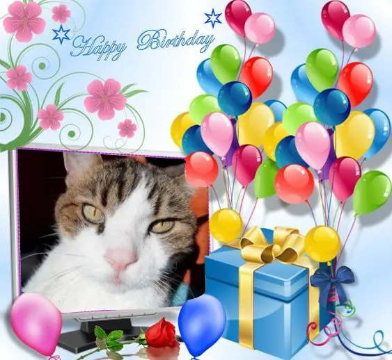 Condolence image of Andrea mit Minki im ♥️