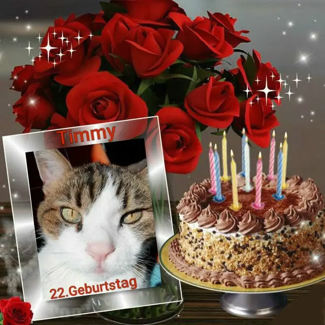 Condolence image of Sabine mit Kaspar & Jessy tief im ♥️