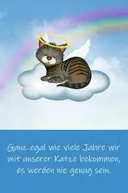 Condolence image of Anja mit Maja & Gräuli im ༺❤️༻