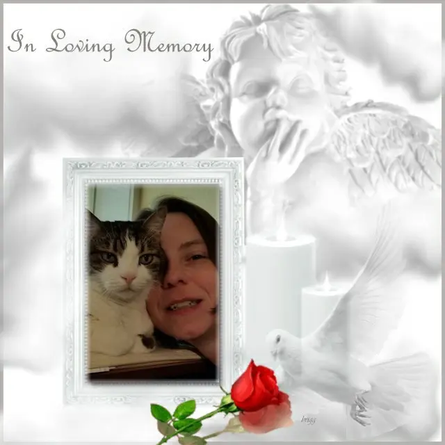 Condolence image of 4.Sternchen❤️Gedenktag❤️❤️❤️❤️