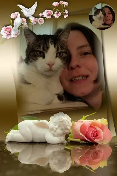 Condolence image of 4.Sternchen❤️Gedenktag❤️❤️❤️❤️