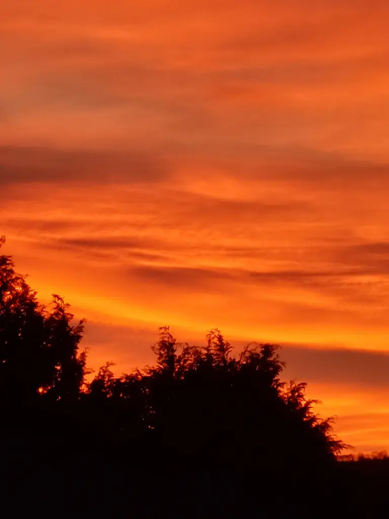 Condolence image of an Timmylein ❤️