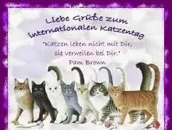 Condolence image of Corinna mit Emma, Pummelchen und anderen Sternlein im ❤️