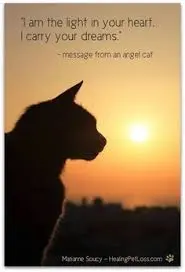 Condolence image of Annemarie und Elke mit Snoopy im Herzen gest.04.01.2022 und Pünktchen 