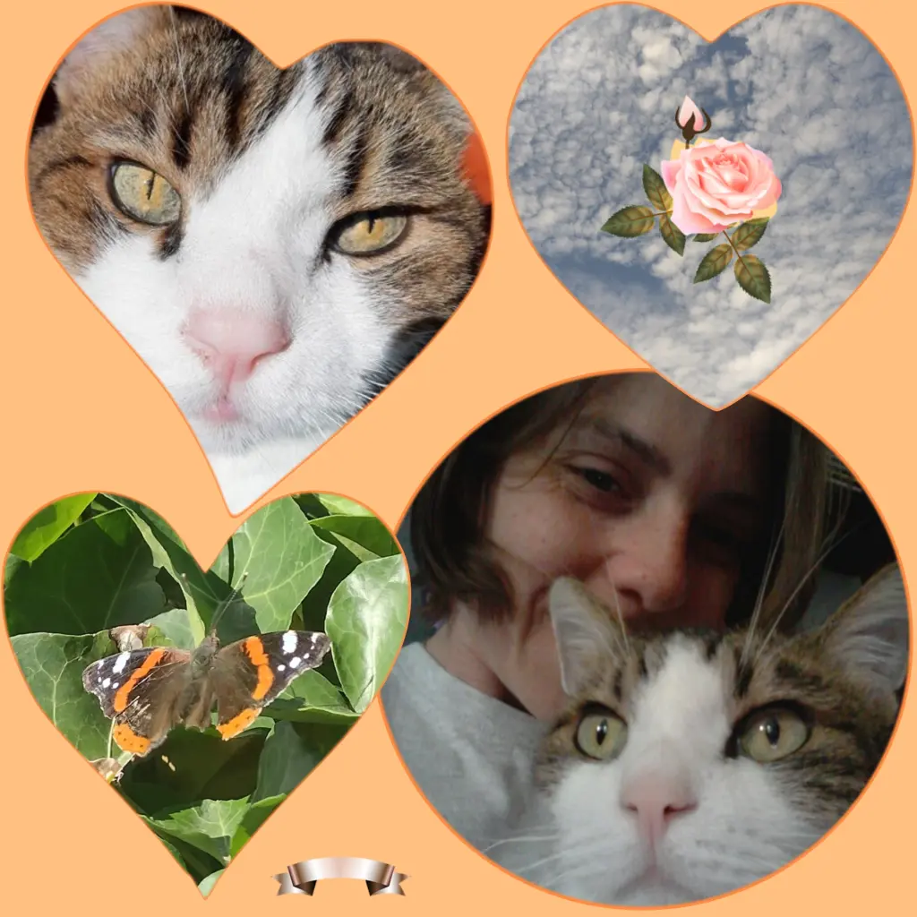 Condolence image of Corinna mit Emma, Pummelchen und anderen Sternlein im ❤️