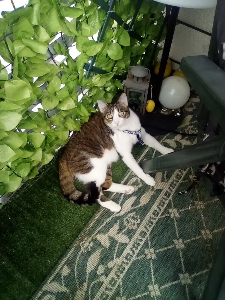 Condolence image of Beate und Arne mit Elvis im Herzen ❤