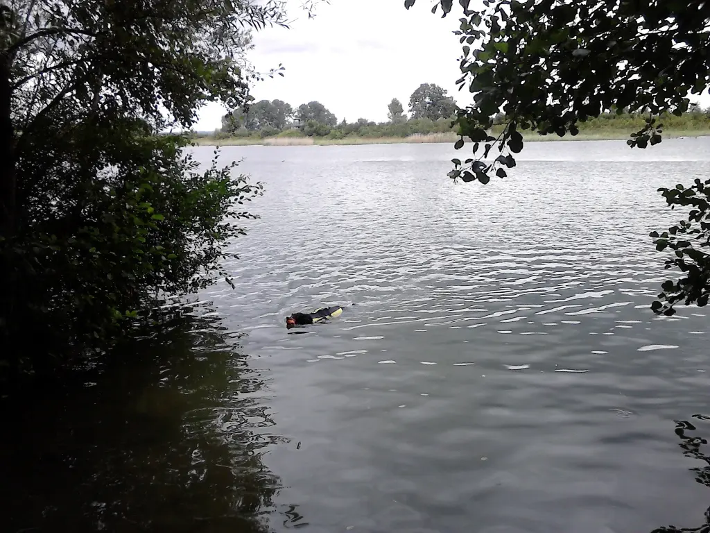 Condolence image of Renate mit Artax"Bubele" tief im Herzen