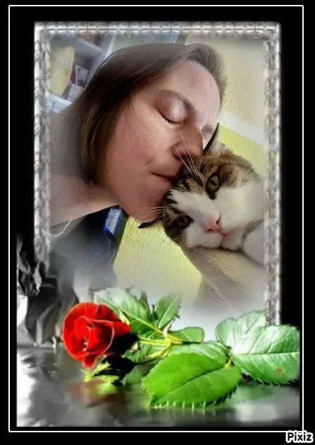 Condolence image of Deine Katzenmutti Tanja ❤