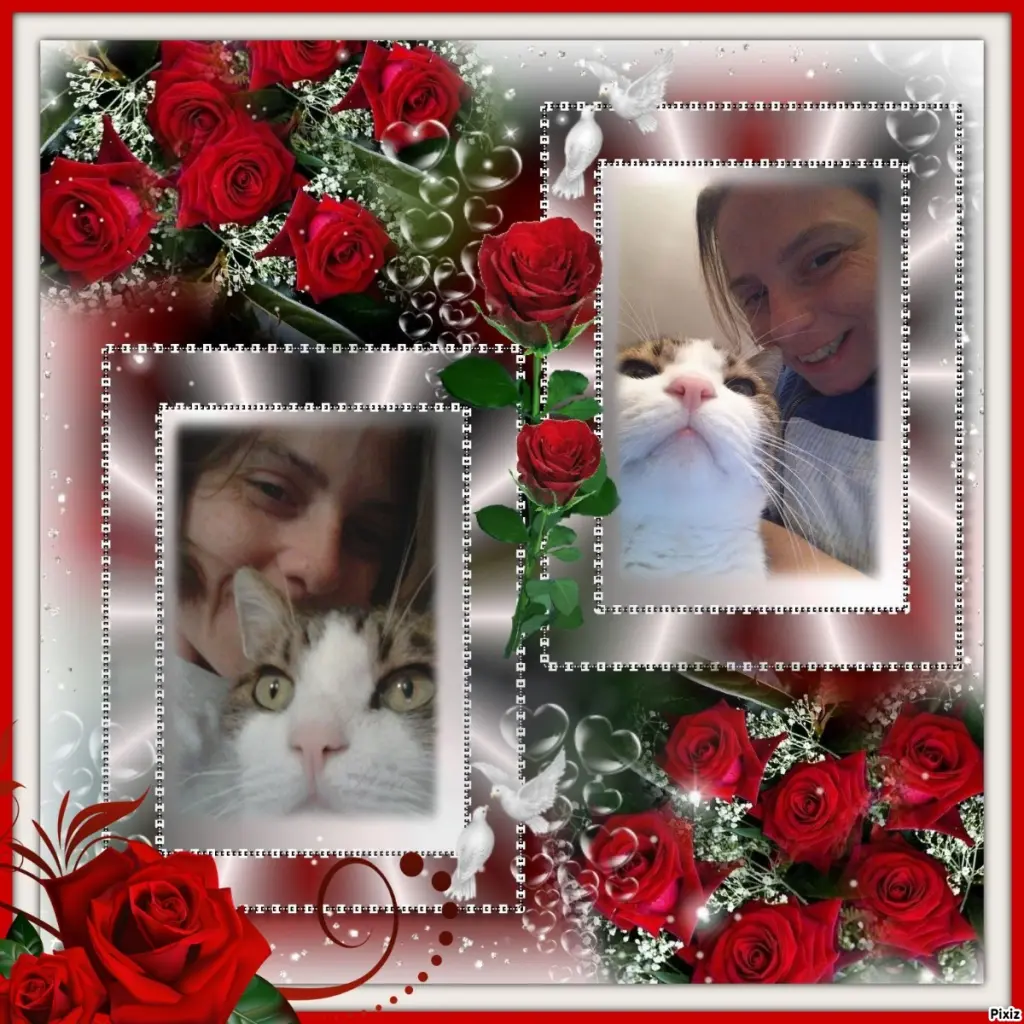 Condolence image of Sternchenpost ⭐