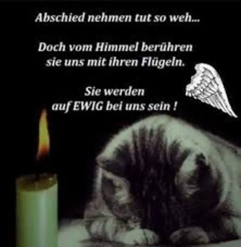 Condolence image of Annemarie und Elke mit Snoopy im Herzen gest.04.01.2022 und Pünktchen