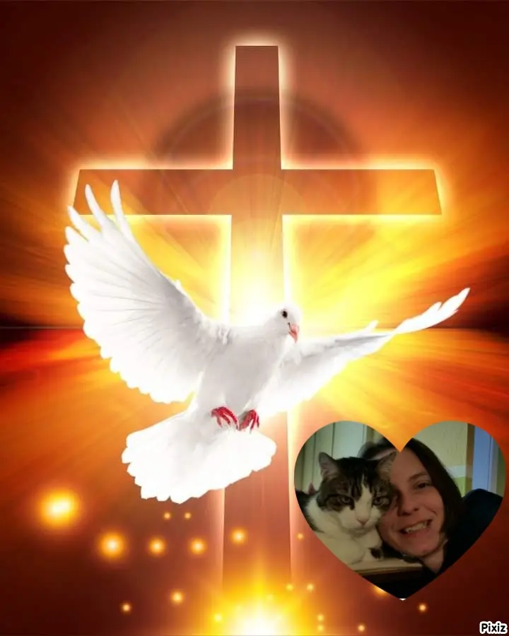 Condolence image of Deine Katzenmutti Tanja ❤