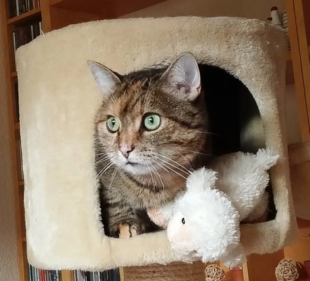 Condolence image of Daniela  mit Pauline im ♥️