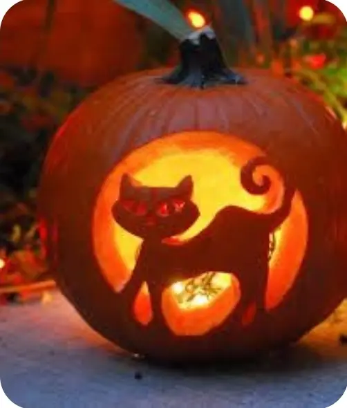 Condolence image of Daniela mit Pauline im ♥️ (+27.05.2021)