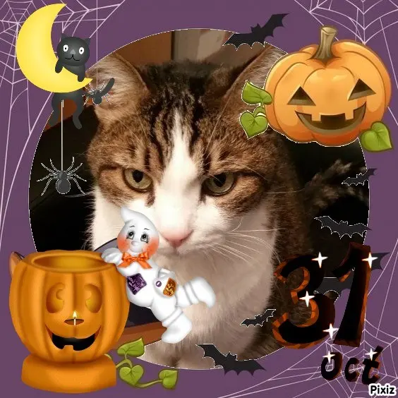 Condolence image of Happy Halloween