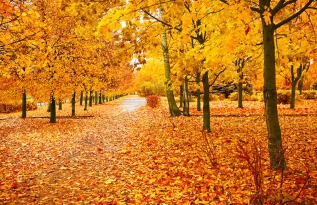 Condolence image of Daniela mit Pauline im ♥️ (+27.05.2021)