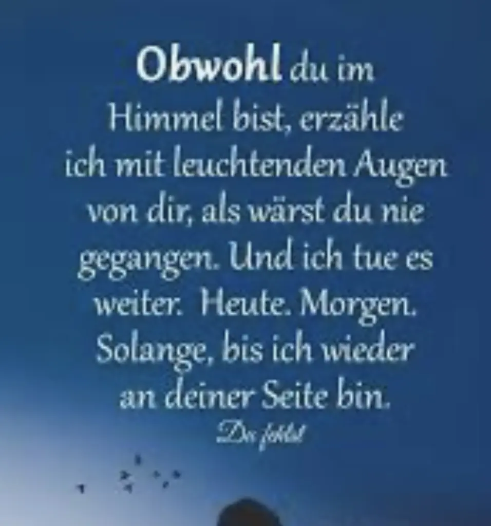 Condolence image of An Timmy und Tanja