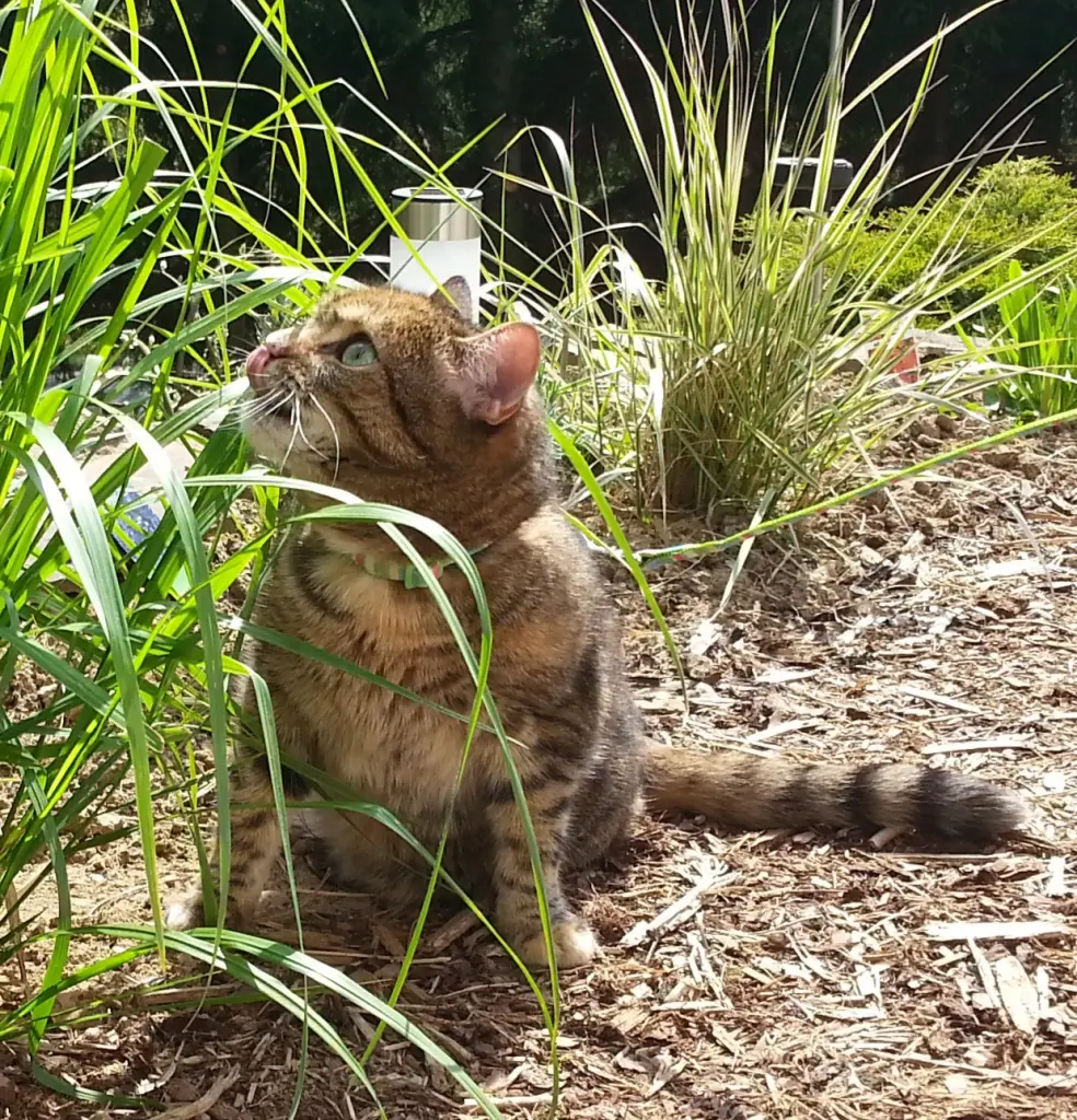 Condolence image of Daniela  mit Pauline im ♥️ (+27.05.2021)