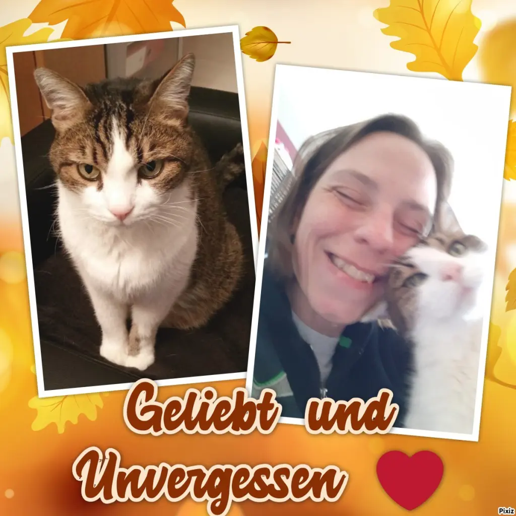 Condolence image of Sternchenpost ⭐