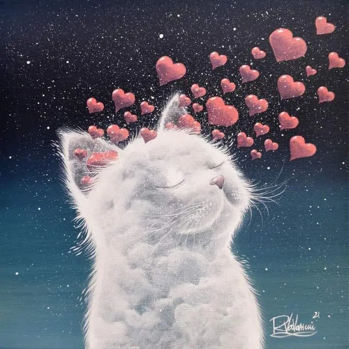 Condolence image of Post von Timmy ♥️