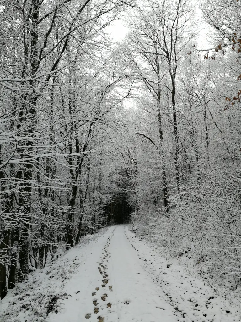Condolence image of Daniela  mit Pauline im ♥️ (+27.05.2021)