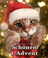 Condolence image of Snoopy ❤Pünktchen 