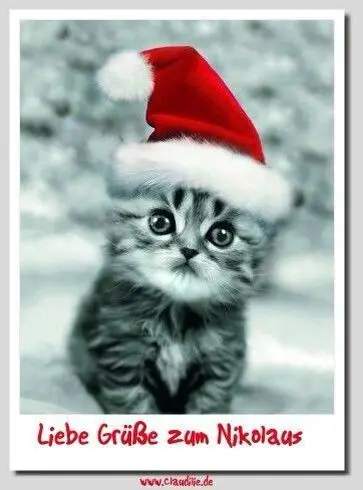 Condolence image of Daniela und Paulinchen ❤️