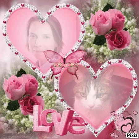 Condolence image of Sternchenpost ⭐