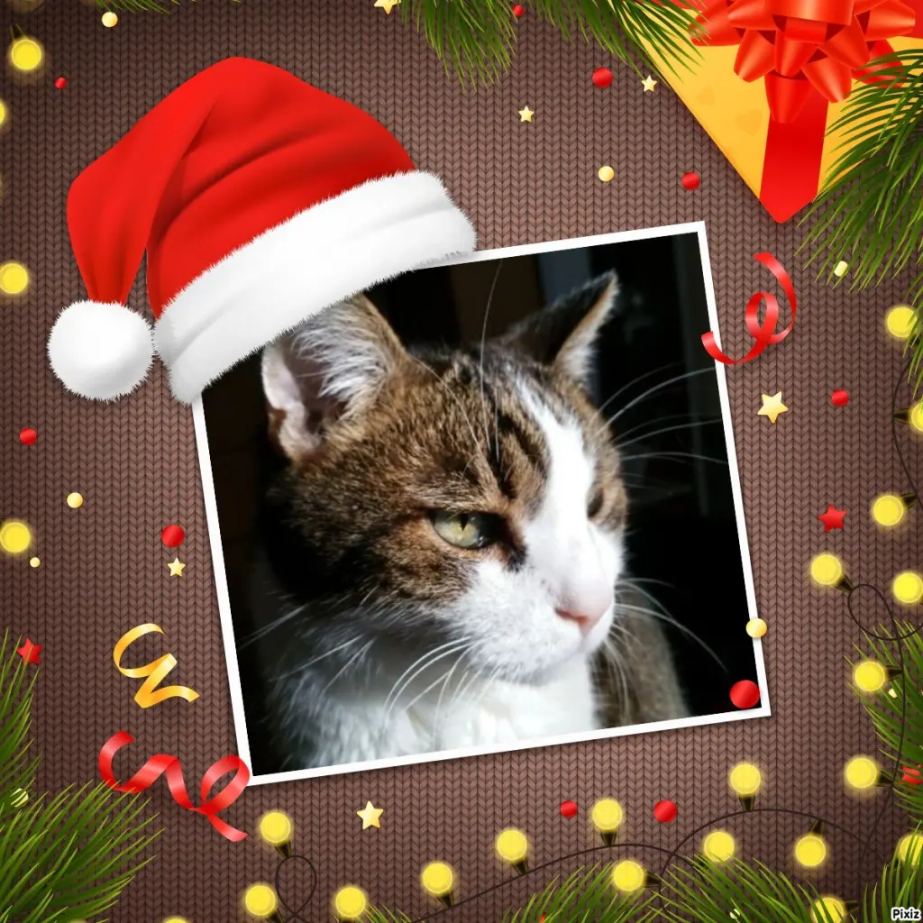 Condolence image of Schöne Festtage ❤️