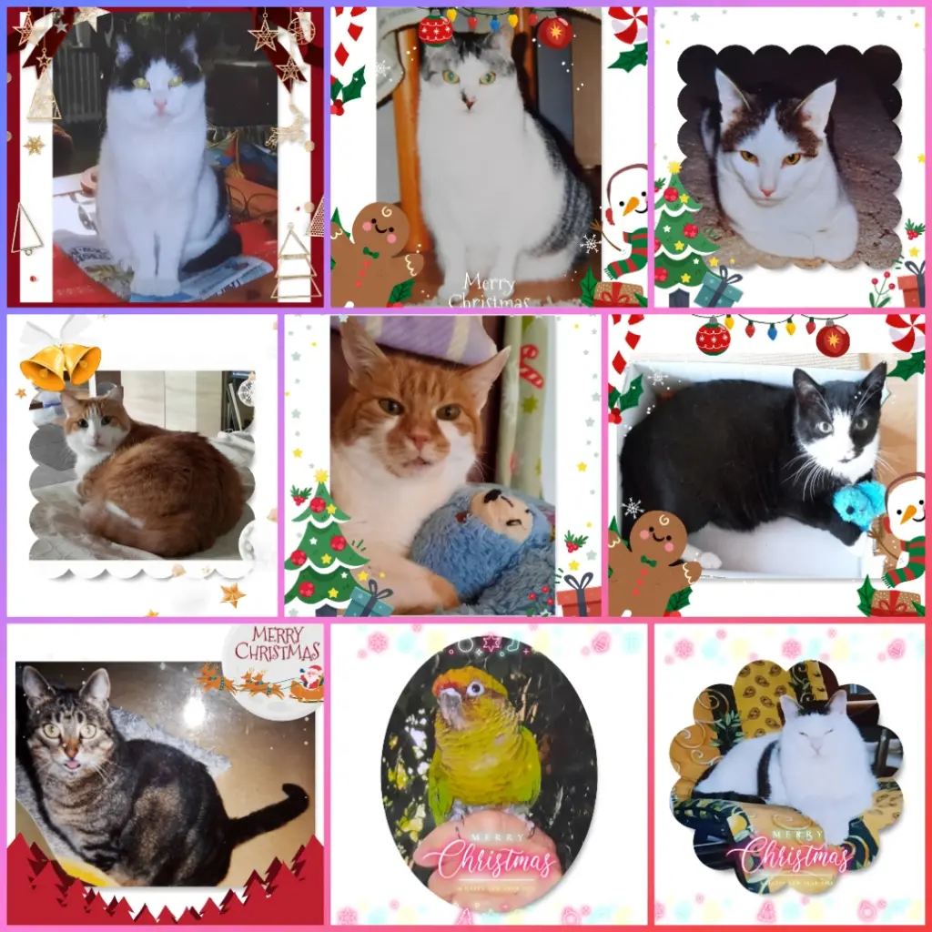 Condolence image of ❤️Eike und Edeltraud für Timmy ❤️