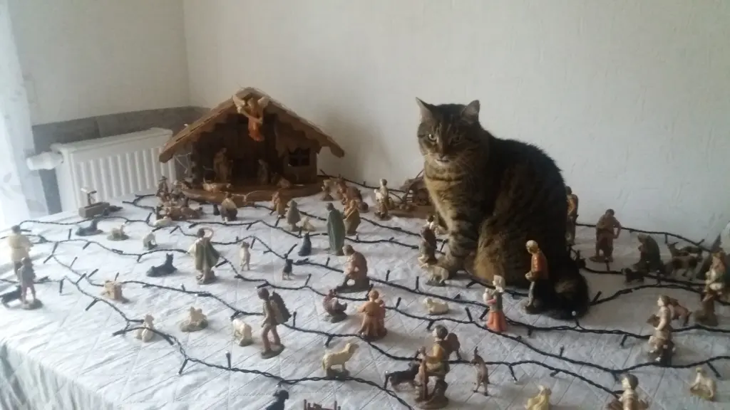 Condolence image of Snoopy❤Pünktchen 