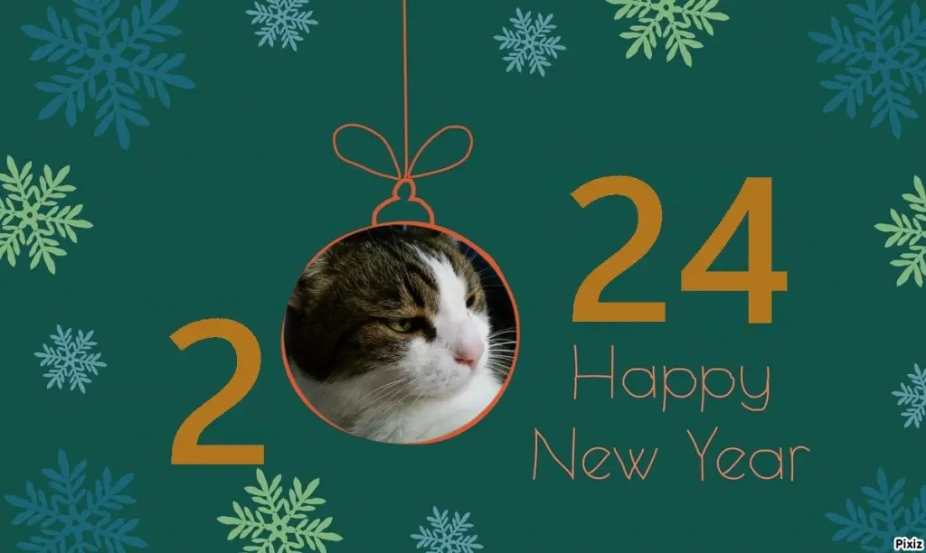 Condolence image of Deine Katzenmutti Tanja ❤