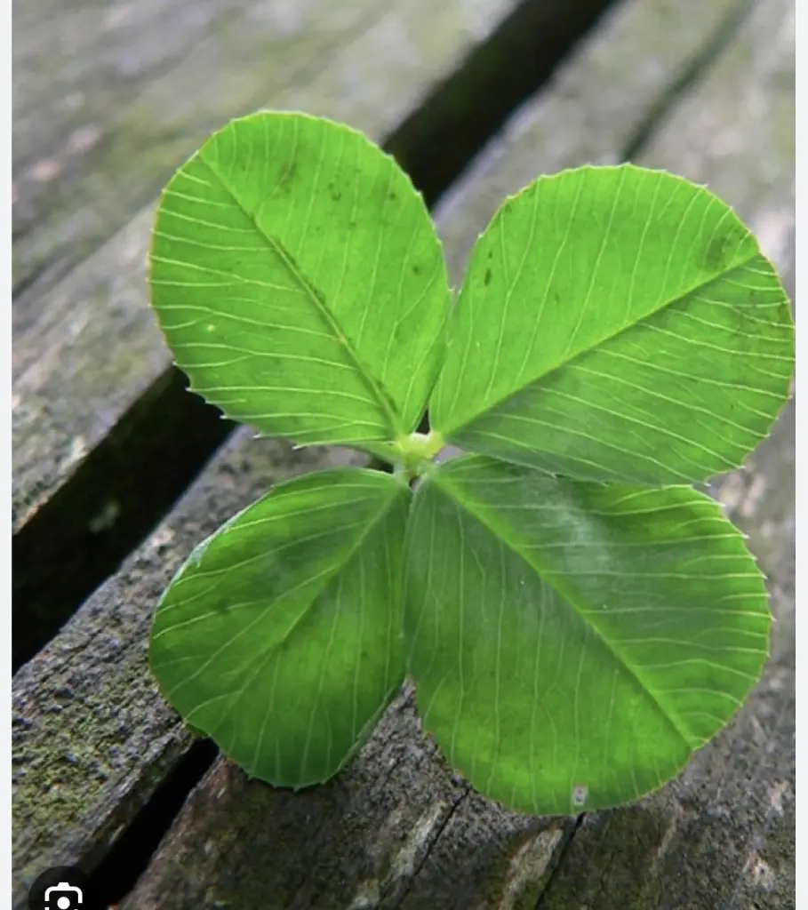 Condolence image of An Timmy und Tanja