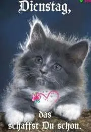 Condolence image of Snoopy❤Pünktchen 