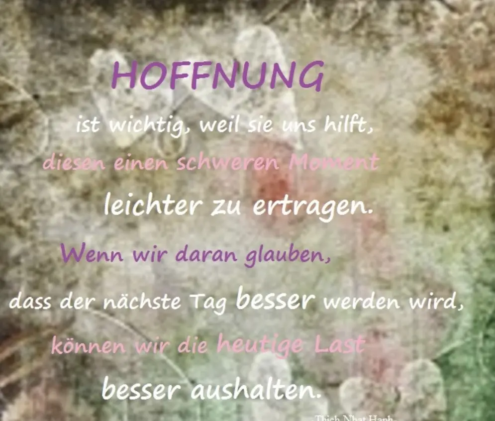 Condolence image of An Timmy und Tanja