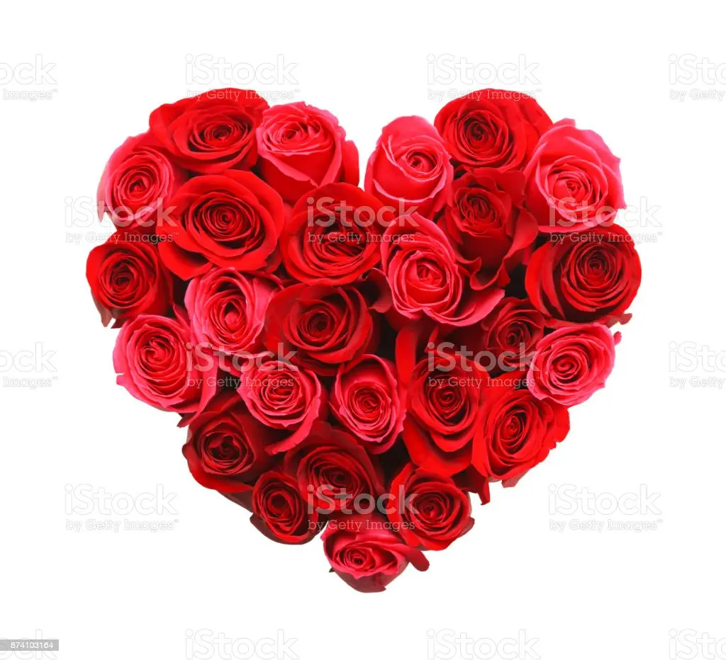 Condolence image of Sternchenpost ♥