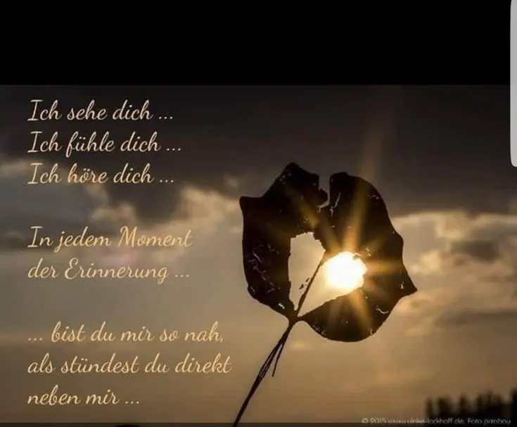 Condolence image of Daniela  mit Pauline im ♥️