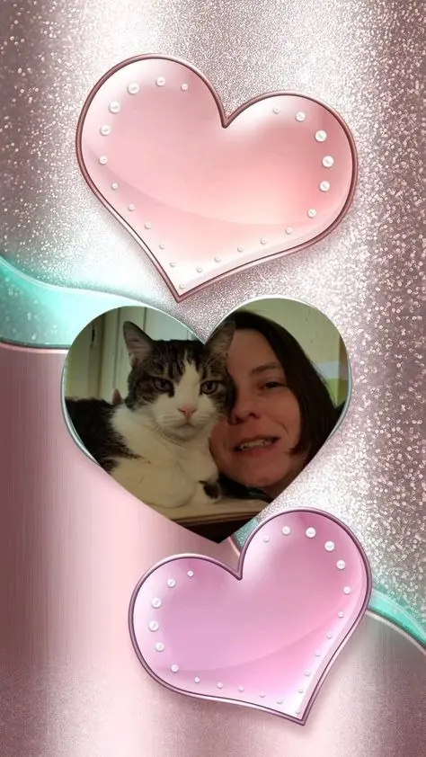 Condolence image of Gute Nacht❤️❤️❤️Mauschen❤️❤️❤️